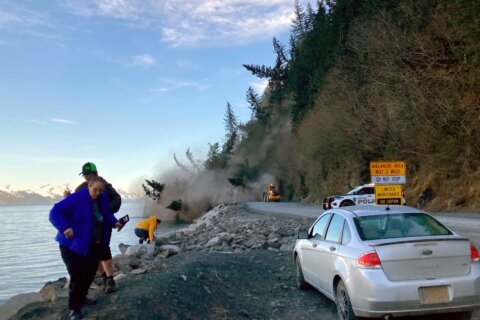 Cleanup underway after trees topple into Alaska road, bay