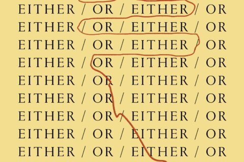 Review: ‘Either/Or’ is Elif Batuman’s sequel to ‘The Idiot’