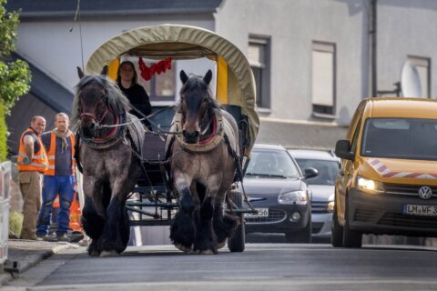 German farm owner saves fuel money with horse-drawn carriage
