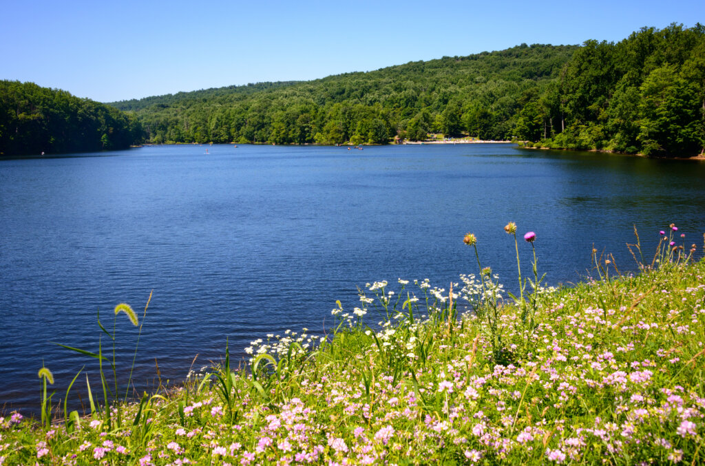 As demand rises, Maryland’s popular state park system continues to grow | WTOP News