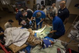 This Feb. 10, 2022, image released by the San Diego Zoo Wildlife Alliance shows Zoo veterinarians and experts in orthotics at the Hanger Clinic fitting braces to Msituni, a giraffe calf born with an unusual disorder that caused her legs to bend the wrong way, at the San Diego Zoo Safari Park in Escondido, north of San Diego. (San Diego Zoo Wildlife Alliance via AP)