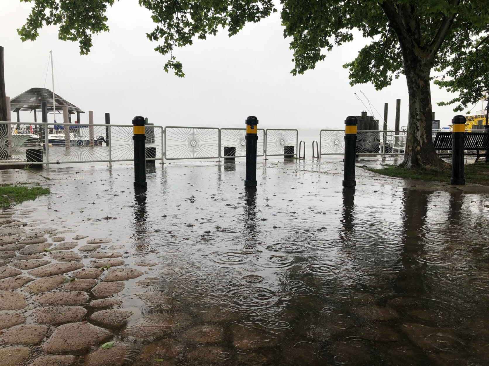 "In old town Alexandria the water was rising at Founders Park and paths roads and sidewalks were seeing some standing water," WTOP's Valerie Bonk reports.