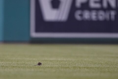 Rats! With critter in grass, NL East-best Mets beat Nats 4-2