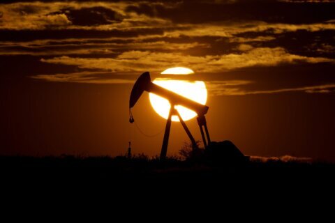 Saudis say US sought 1 month delay of OPEC+ production cuts