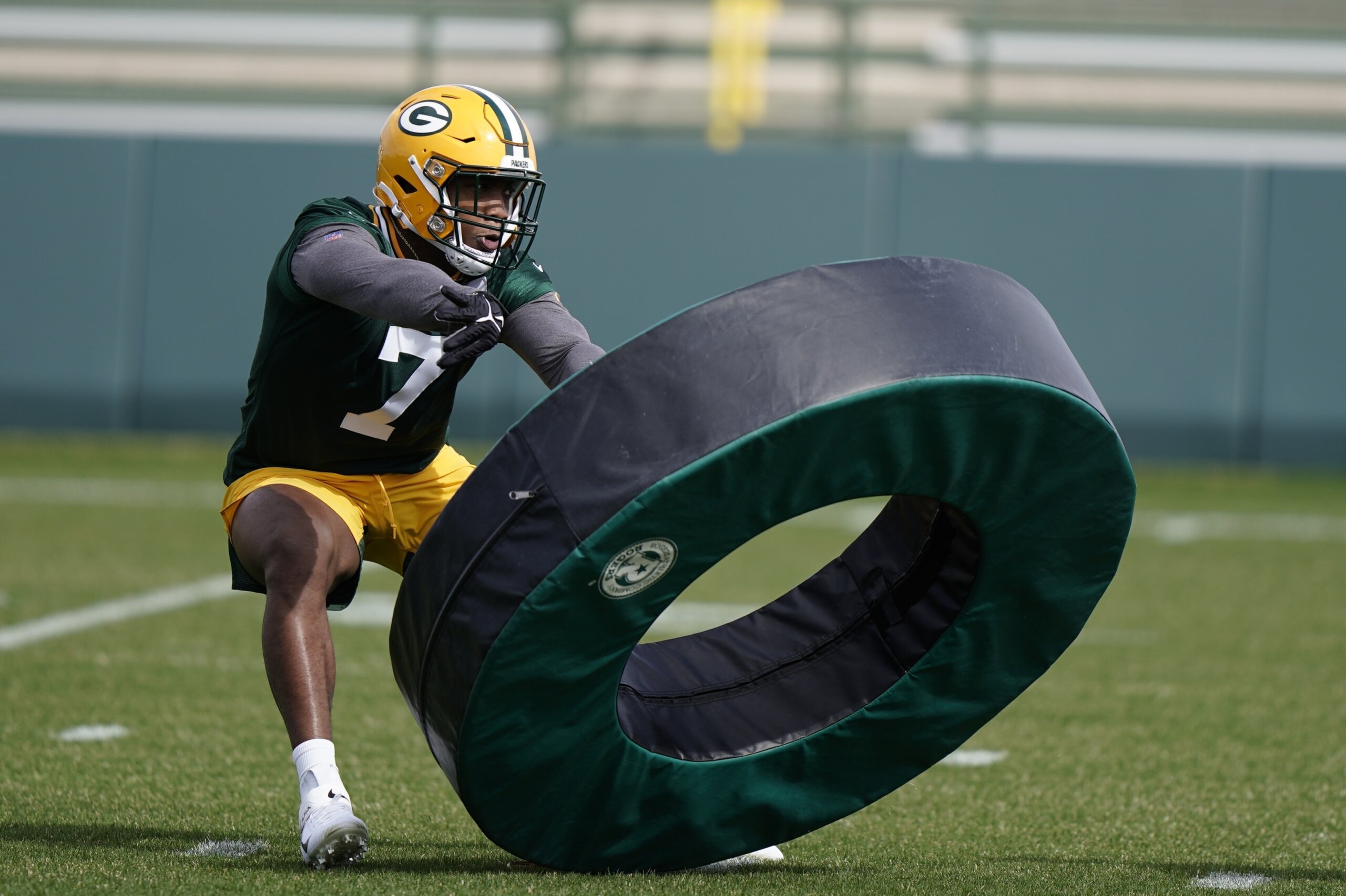 Julius Peppers praises Packers' pass-rush depth