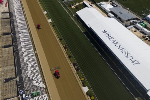 Analysis: Early Voting’s bit of rest will help in Preakness