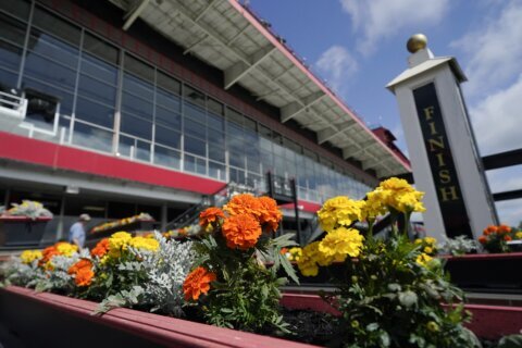 Preakness updates | Early Voting tops Epicenter in Preakness