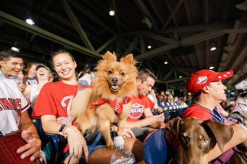 Hot dog! Nationals bring back Pups in the Park