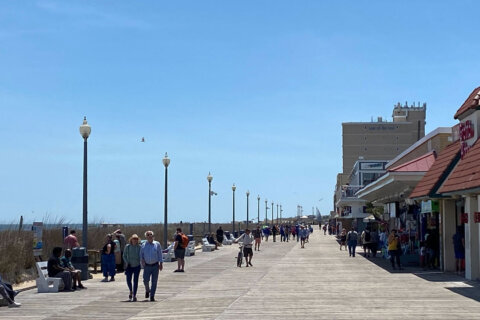 Delmarva beaches hoping for another record-breaking year