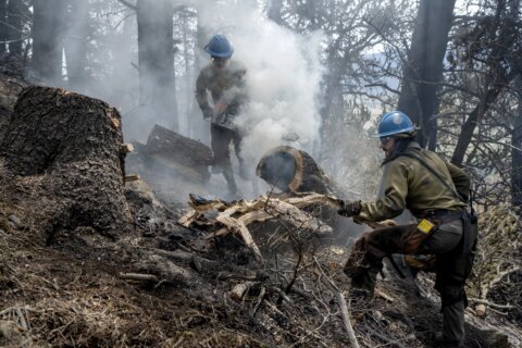 Critical fire condition warnings issued across US Southwest