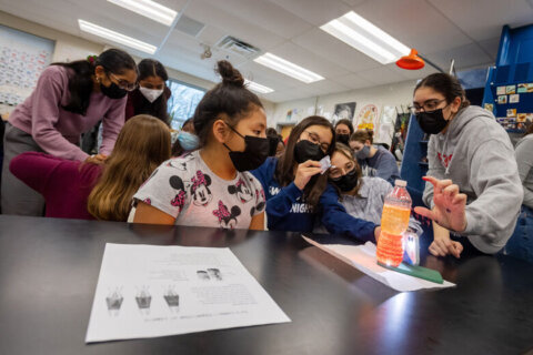 How a Fairfax Co. high school club empowers young women to pursue STEM careers