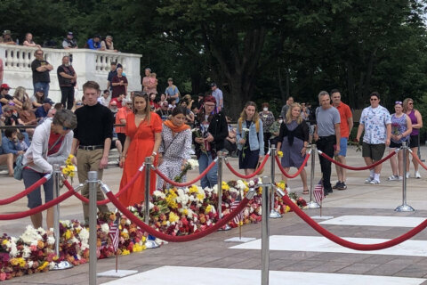 Flower laying at Tomb of the Unknown Soldier opened to public