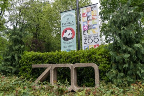 National Zoo stands by timed-entry passes despite DC delegate’s concerns over limited access