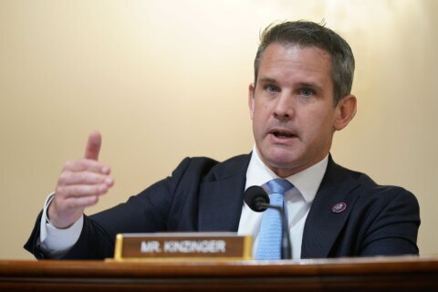 Republican Rep. Adam Kinzinger says he’s ‘open’ to AR-15 ban