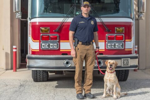 Stafford County Fire welcomes new dog