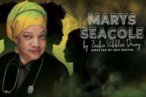 ‘Reading Rainbow’ voice Tina Fabrique stars in Mosaic Theater play ‘Marys Seacole’
