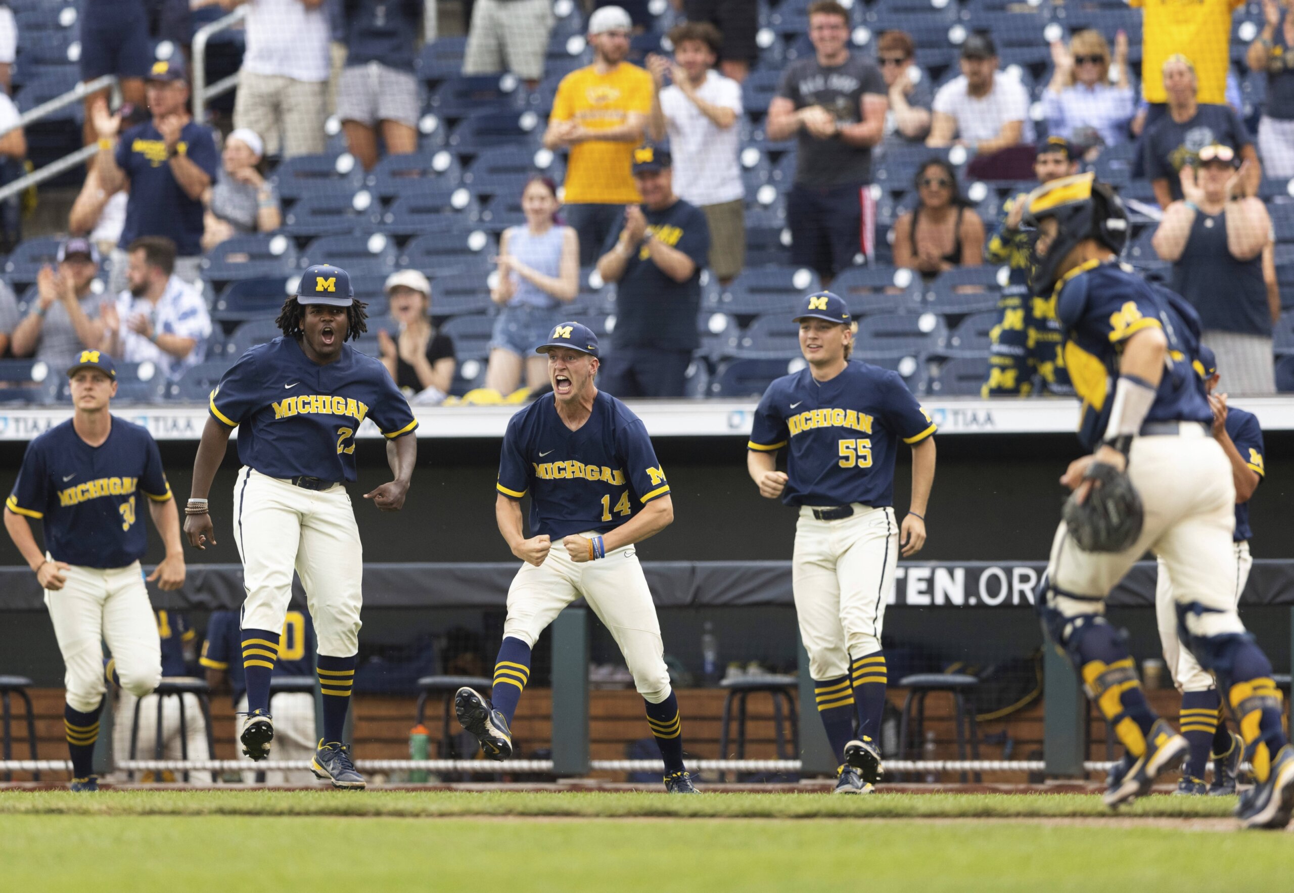 Play ball: Things to know entering NCAA baseball regionals