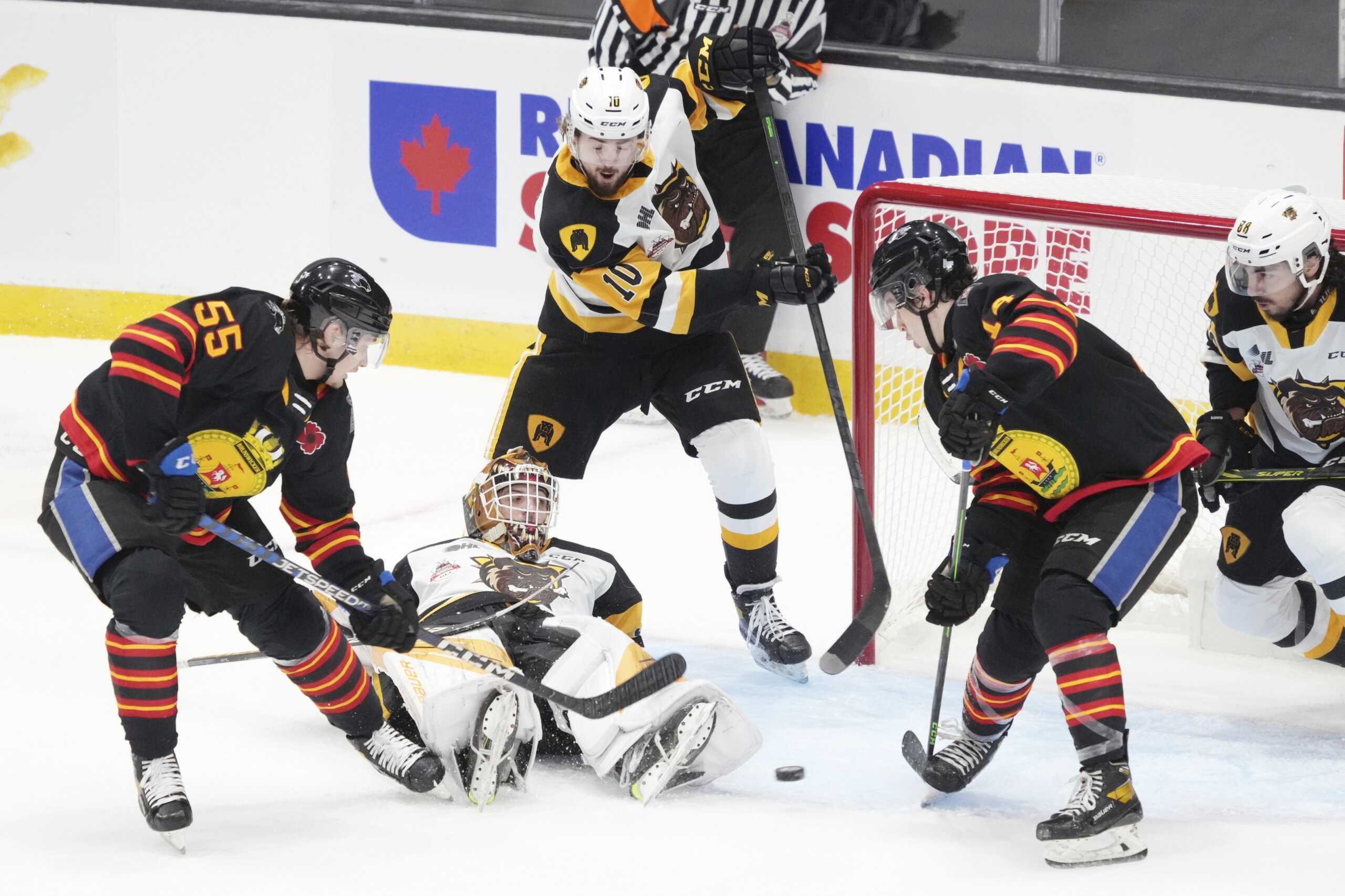 Sea Dogs beat Hamilton 5-3 in opener of Memorial Cup return - WTOP News