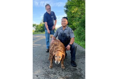 Trooper crawls into drainage pipe to rescue missing dog