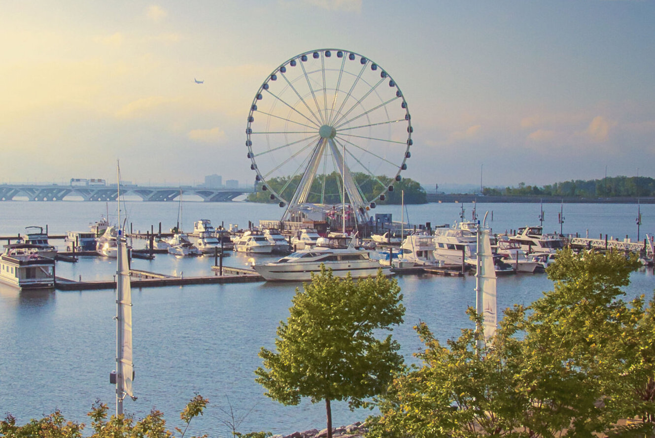 Team Store - National Harbor : r/Nationals