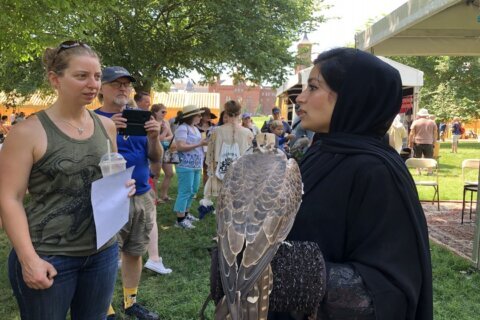 Smithsonian Folklife Festival returns, focuses on environment and UAE culture