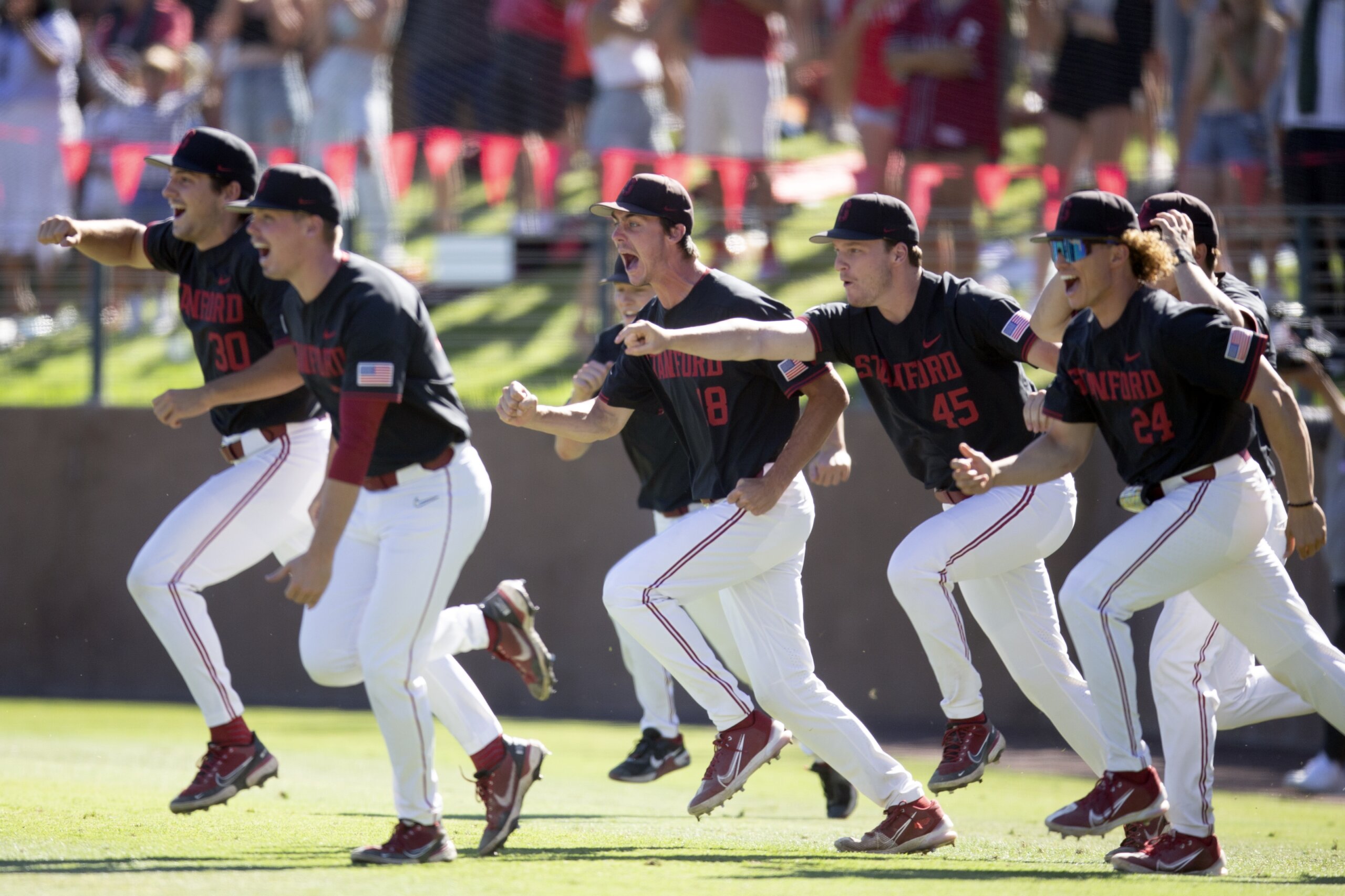 College World Series: In-Depth Look at Auburn, Other 7 Teams Competing for  Title - WAKA 8