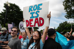 <p>Some cheered outside the Supreme Court Friday morning. One woman carries a sign that says &#8220;Roe is Dead.&#8221;</p>
