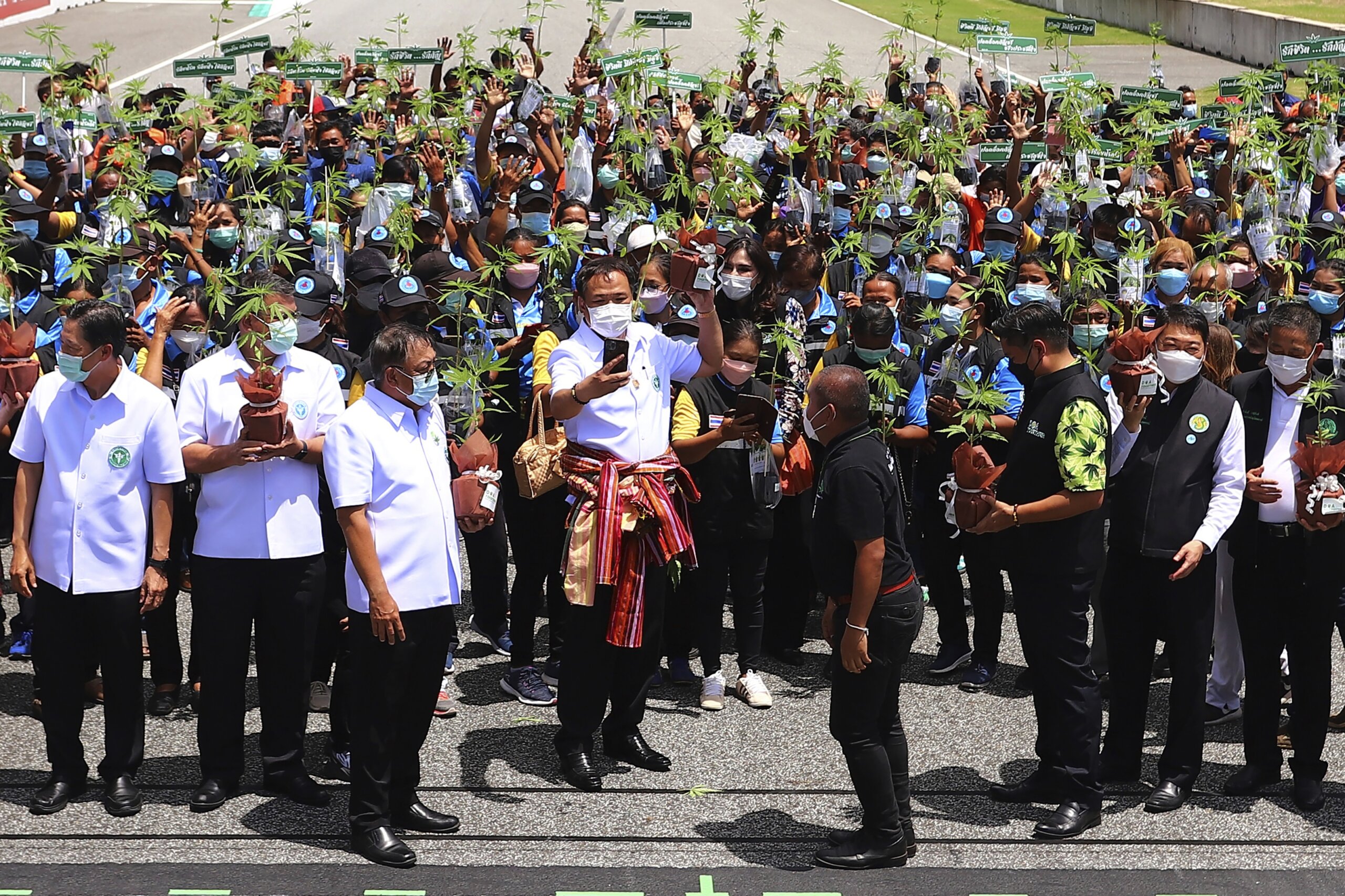 Plant Giveaway Promotes Thailand S Medical Marijuana Sector WTOP News   Thailand Marijuana 08832 Scaled 