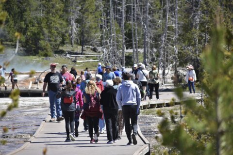 Much of northern Yellowstone park to reopen Saturday