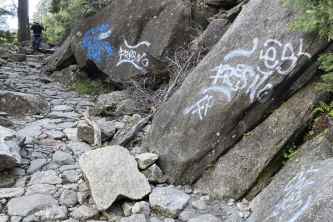 Graffiti found on dozens of Yosemite National Park sites