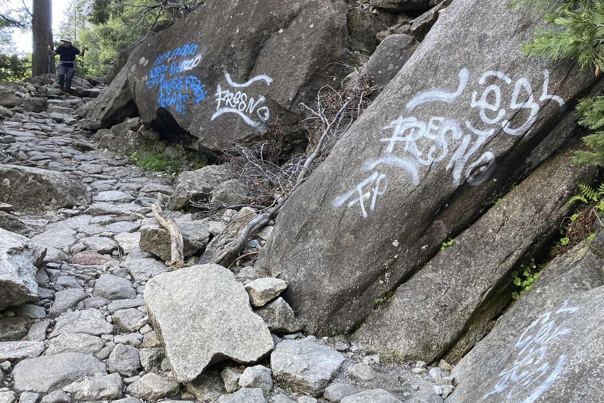 Graffiti found on dozens of Yosemite National Park sites | WTOP News