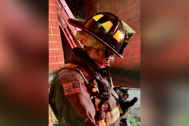 Several civilians were evaluated but did not require emergency transport. Firefighters rescued 2 cats and the Humane Society is assisting with those displaced animals. (Courtesy DC Fire and EMS)