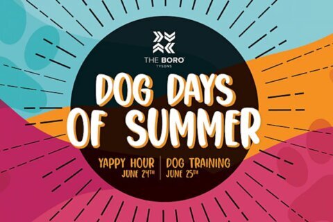Enjoy the Dog Days of Summer with Yappy Hour, Camp Bark at The Boro in Tysons