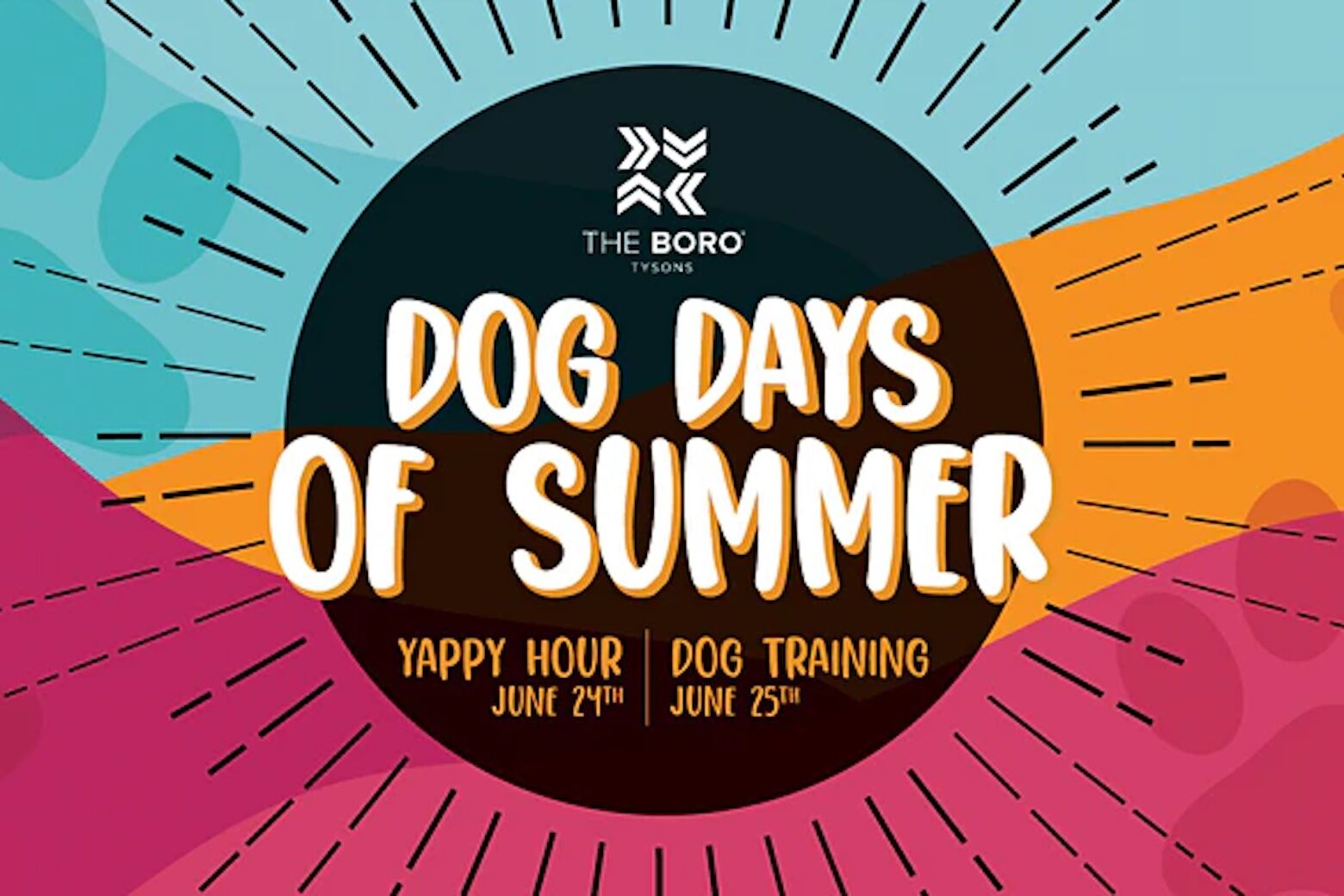 Enjoy the Dog Days of Summer with Yappy Hour, Camp Bark at The Boro in  Tysons - WTOP News