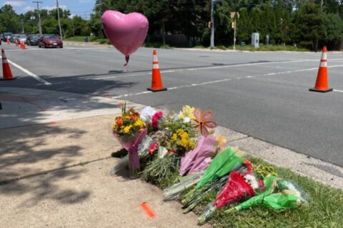 Push for pedestrian safety continues after speeding drivers kills 2 Oakton High students