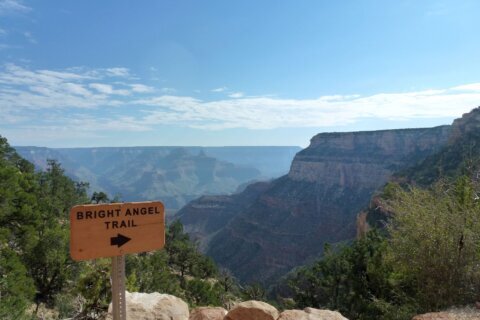 A Canadian hiker has died at the Grand Canyon