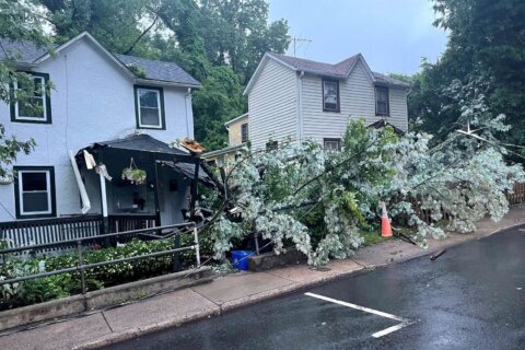 Power outages, ‘catastrophic’ damage after Northern Va. storms