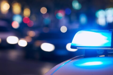 Fairfax Co. police: W&OD trail indecent exposure suspect arrested
