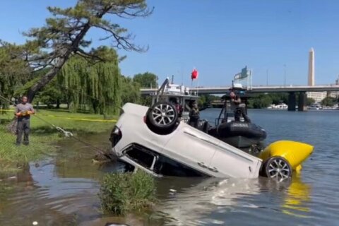 Man rescued from Washington Channel after driving car into water