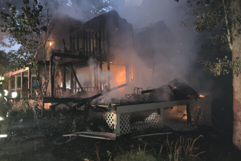 2 dogs die in Loudoun Co. house fire