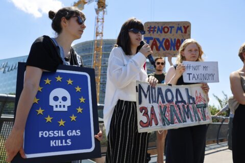 EU lawmakers back gas, nuclear energy as sustainable