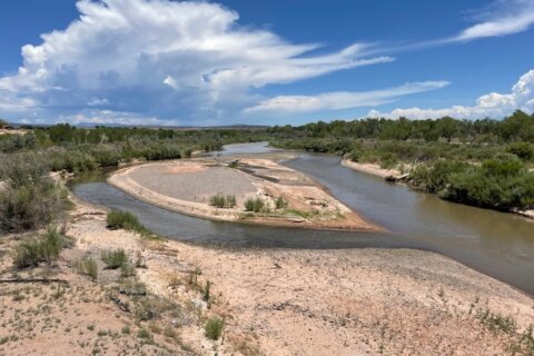 Border Patrol: 8 migrants found dead in Rio Grande at Texas