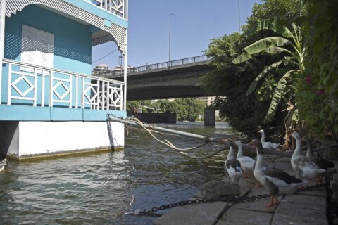 Cairo’s historic Nile River houseboats removed in govt push