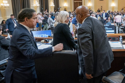 Jan. 6 hearing: Raskin leads questioning, Harris involvement in White House planning meeting revealed