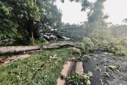 Storm damage is seen in College Park, Maryland, on July 13, 2022, a day after a severe weather outbreak. (WTOP/Nick Iannelli)