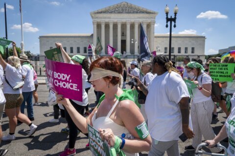 Texas clinics halt abortions after state high court ruling