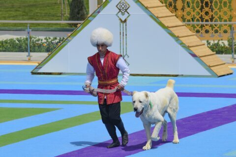 Turkmenistan restricts export of its local Alabay dog breed