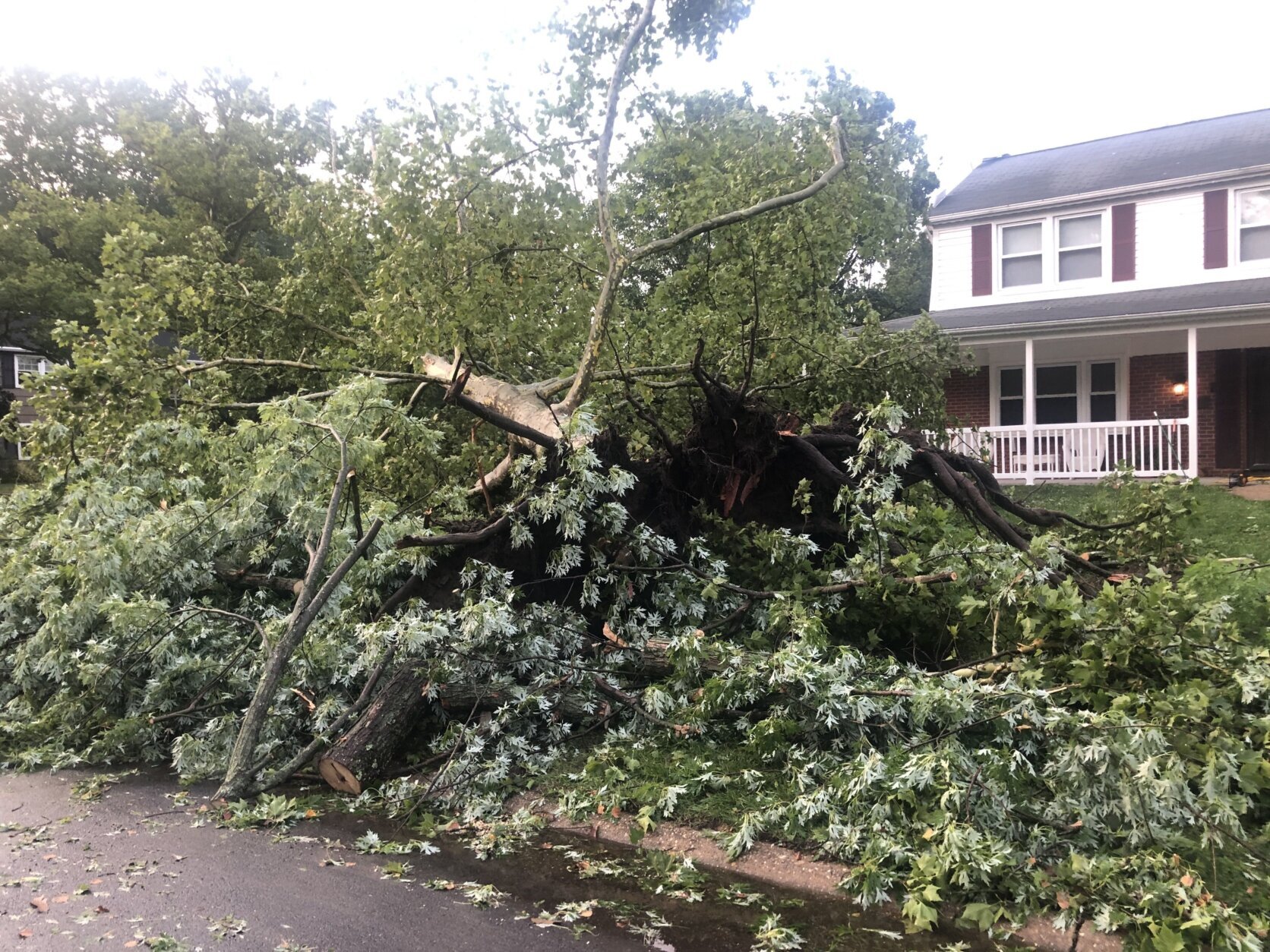 <h3>Bowie tornado</h3>
<p>A moderate tornado whirled through Bowie, Maryland, on July 5, 2022.</p>
<p>The National Weather Service determined that <a href="https://wtop.com/local/2022/07/damages-reported-in-md-as-national-weather-service-investigate-suspected-tornadic-activity/">the EF-1 tornado</a> was only on the ground for about three minutes. It downed trees dozens of trees along a mile-long path through the &#8220;S&#8221; and &#8220;B&#8221; sections of Bowie.</p>
<p>There were no reported injuries, but a few homes were damaged by fallen trees.</p>
<p>The city water plant on Bradford Lane also sustained minor damage in the storm, but water service was not interrupted.</p>

