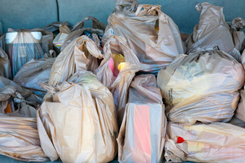 Wegmans to remove plastic bags from all Maryland stores