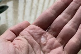 <p>Small hail fell in downtown Bethesda Tuesday afternoon.</p>
